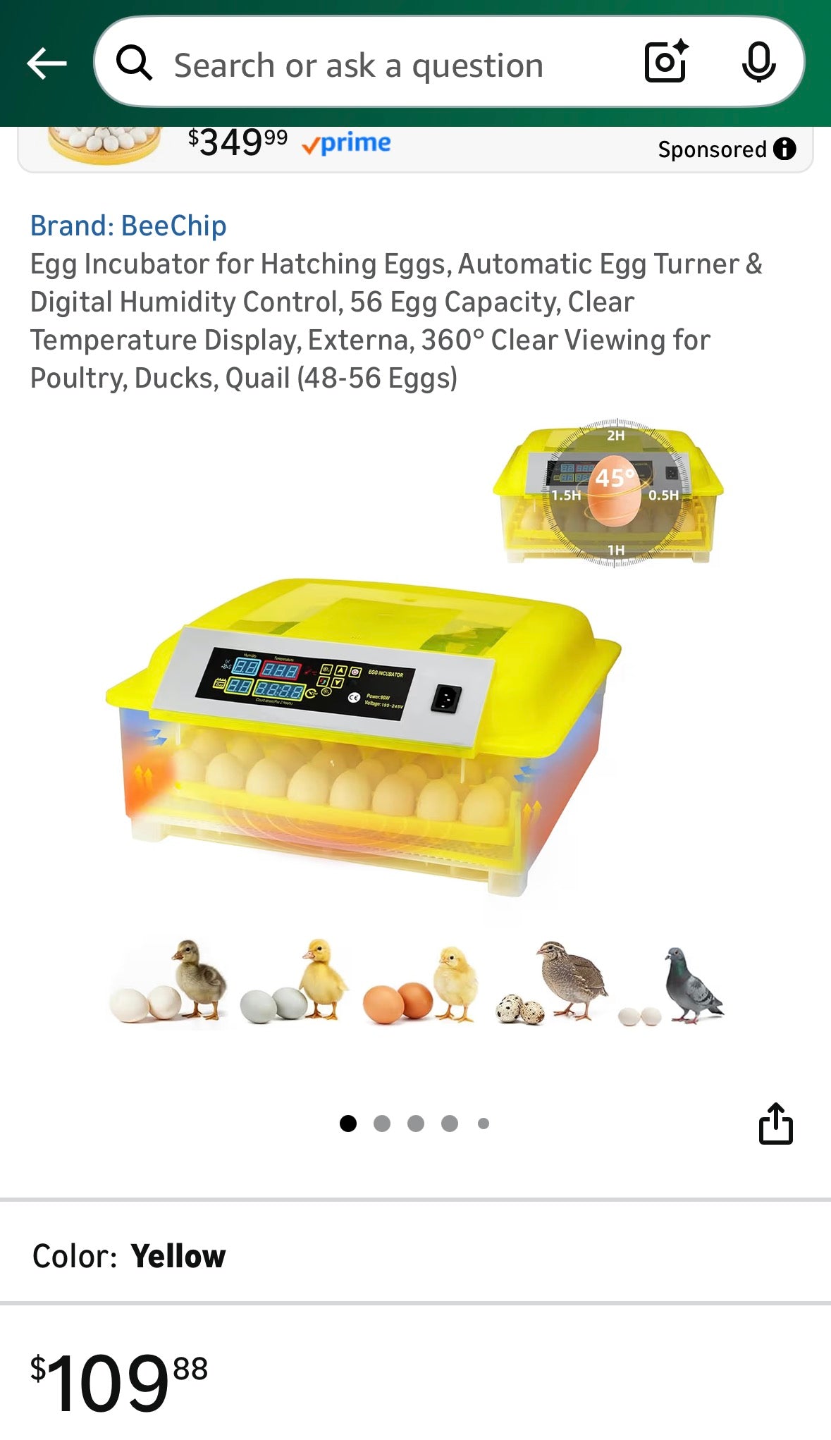 Egg incubator